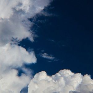 Meet your Posher, Dakota